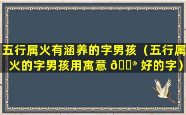 五行属火有涵养的字男孩（五行属火的字男孩用寓意 💮 好的字）